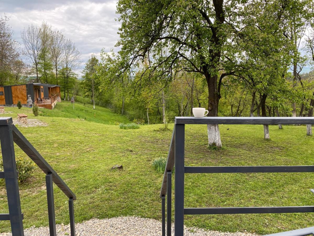 Villa Casutele Din Poienita Comarnic Exterior foto