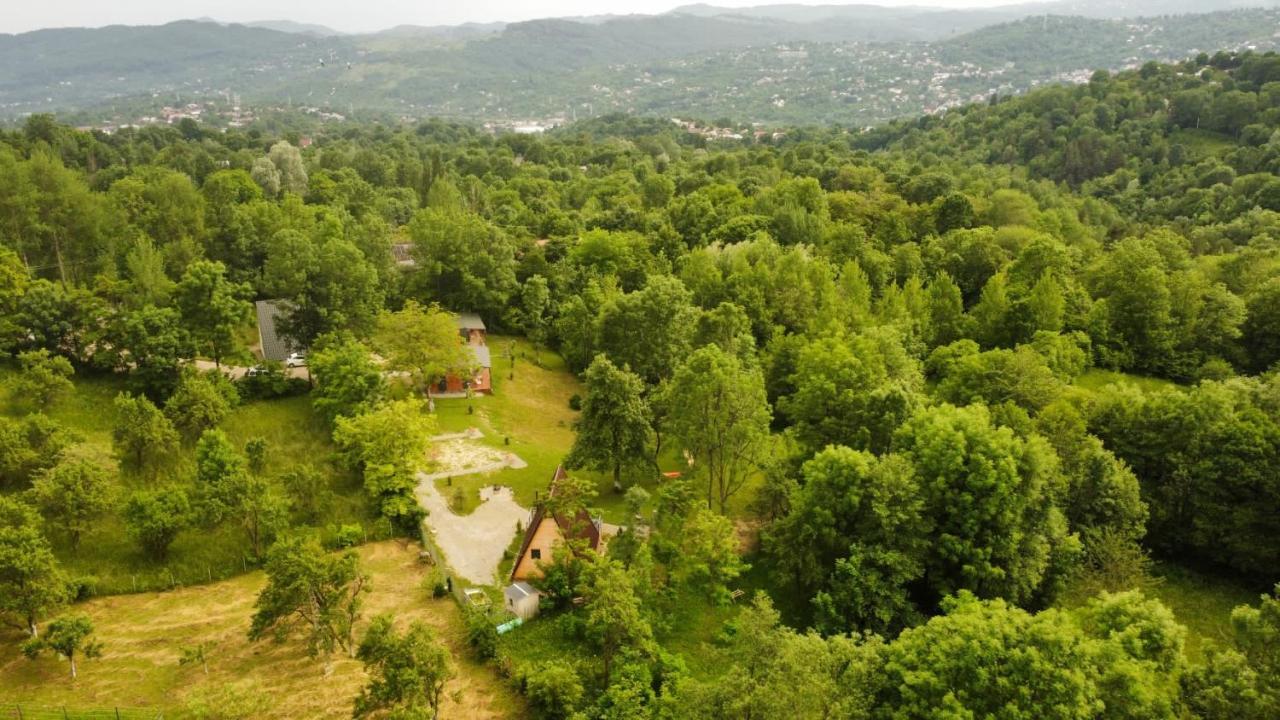 Villa Casutele Din Poienita Comarnic Exterior foto